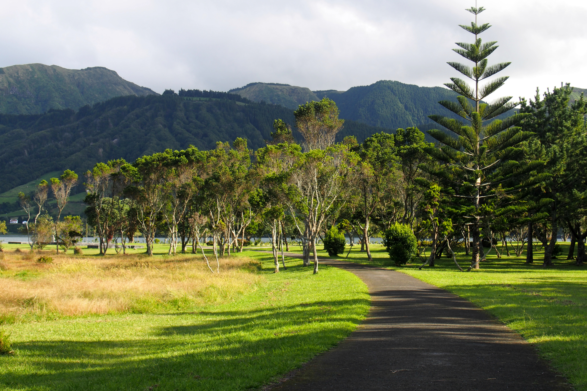 melville bay (2).webp